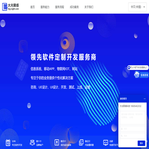 大光网络-专业软件定制开发服务商