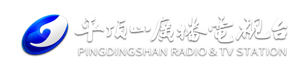 平顶山新闻联播2024年12月31日